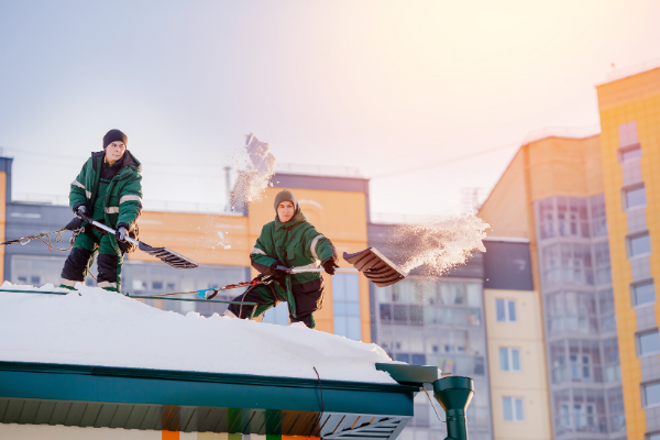 Roof snow deals remover